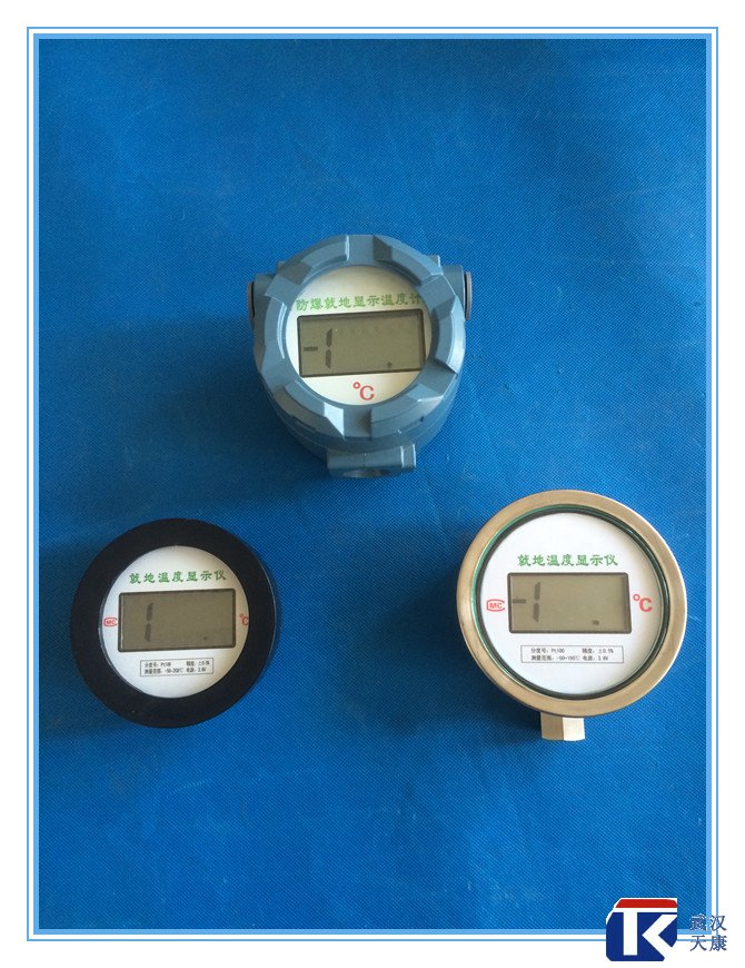 無(wú)源數(shù)顯溫度傳感器、無(wú)需外接電源、鋰電池供電